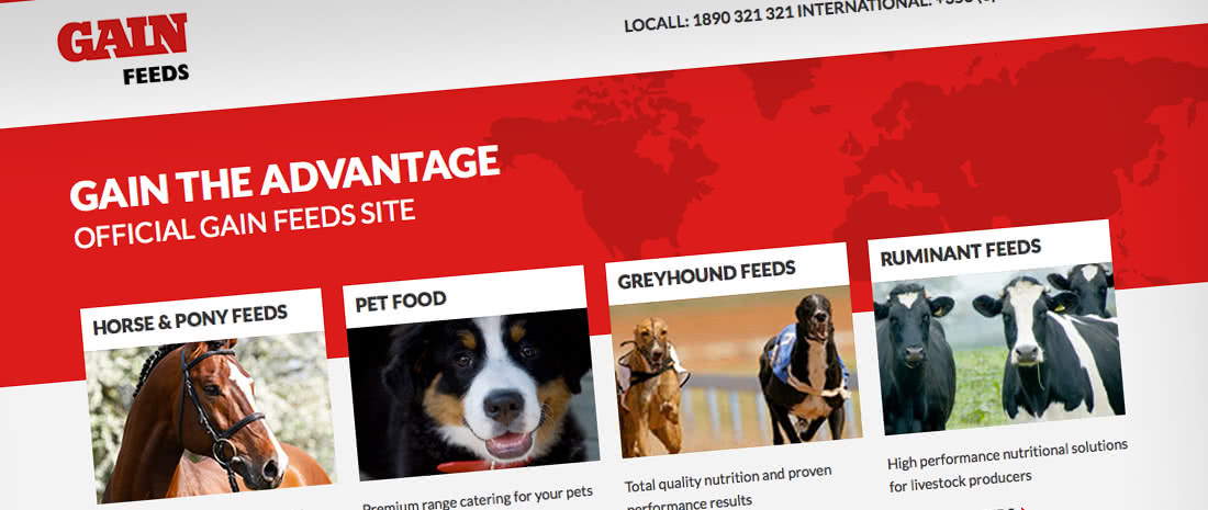 multi-lingual website