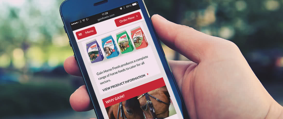 mobile website